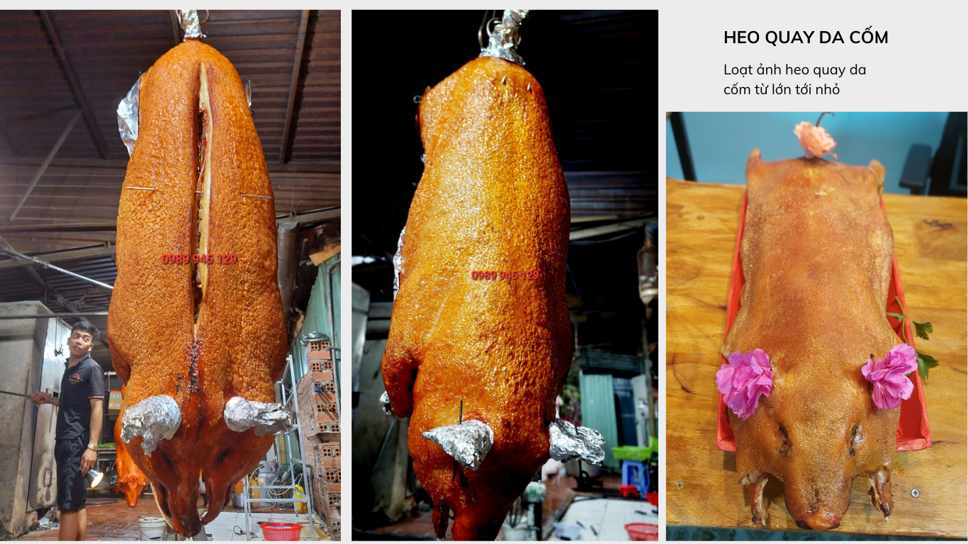 Khóa học và đào tạo