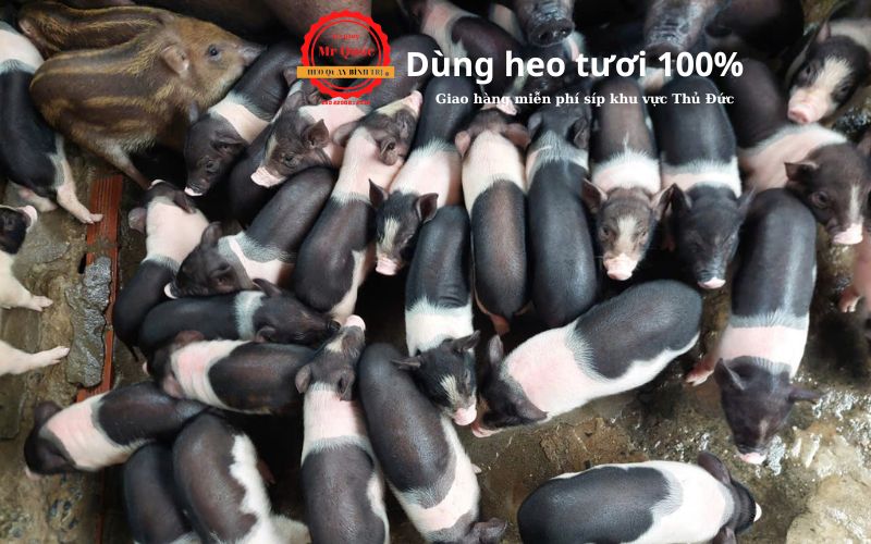 Heo quay Thủ Đức 