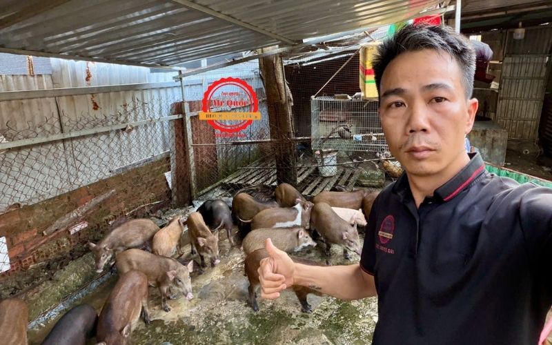 HEO QUAY NGUYÊN CON BÌNH DƯƠNG