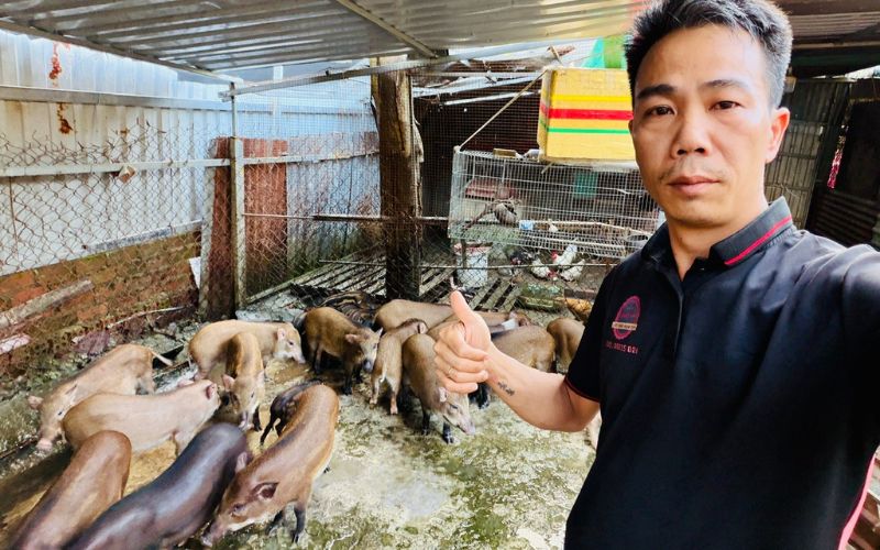 heo quay Thủ Đức giao tận nơi