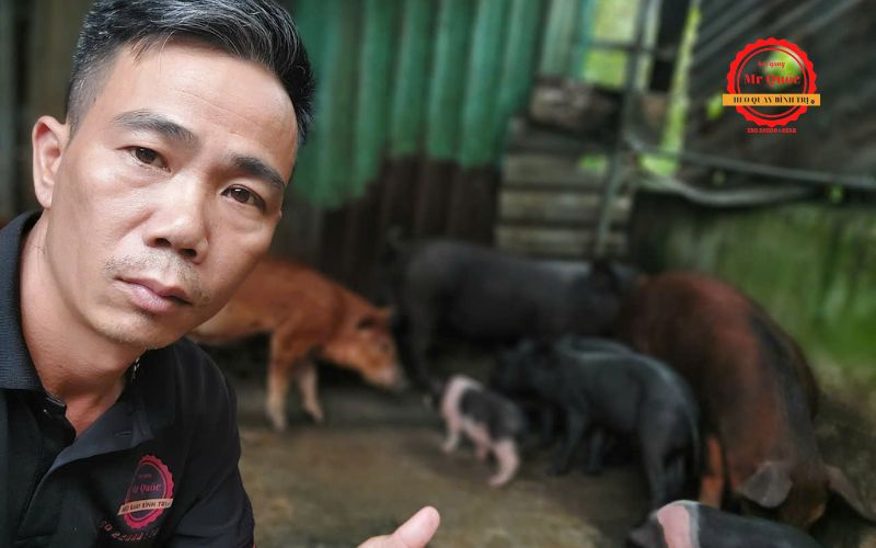 Những Dịp Nào Nên Đặt Heo Quay Nguyên Con?